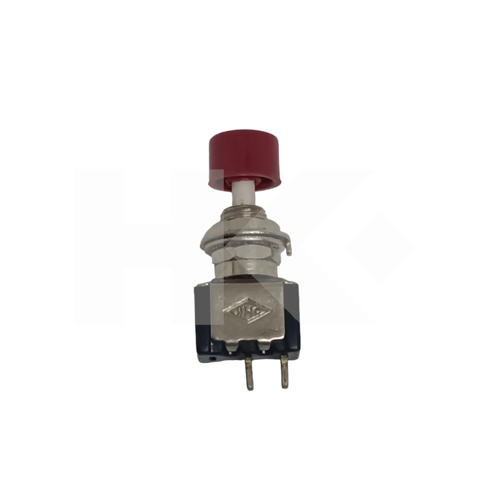 PULSADOR 2A 250V 2 PIN