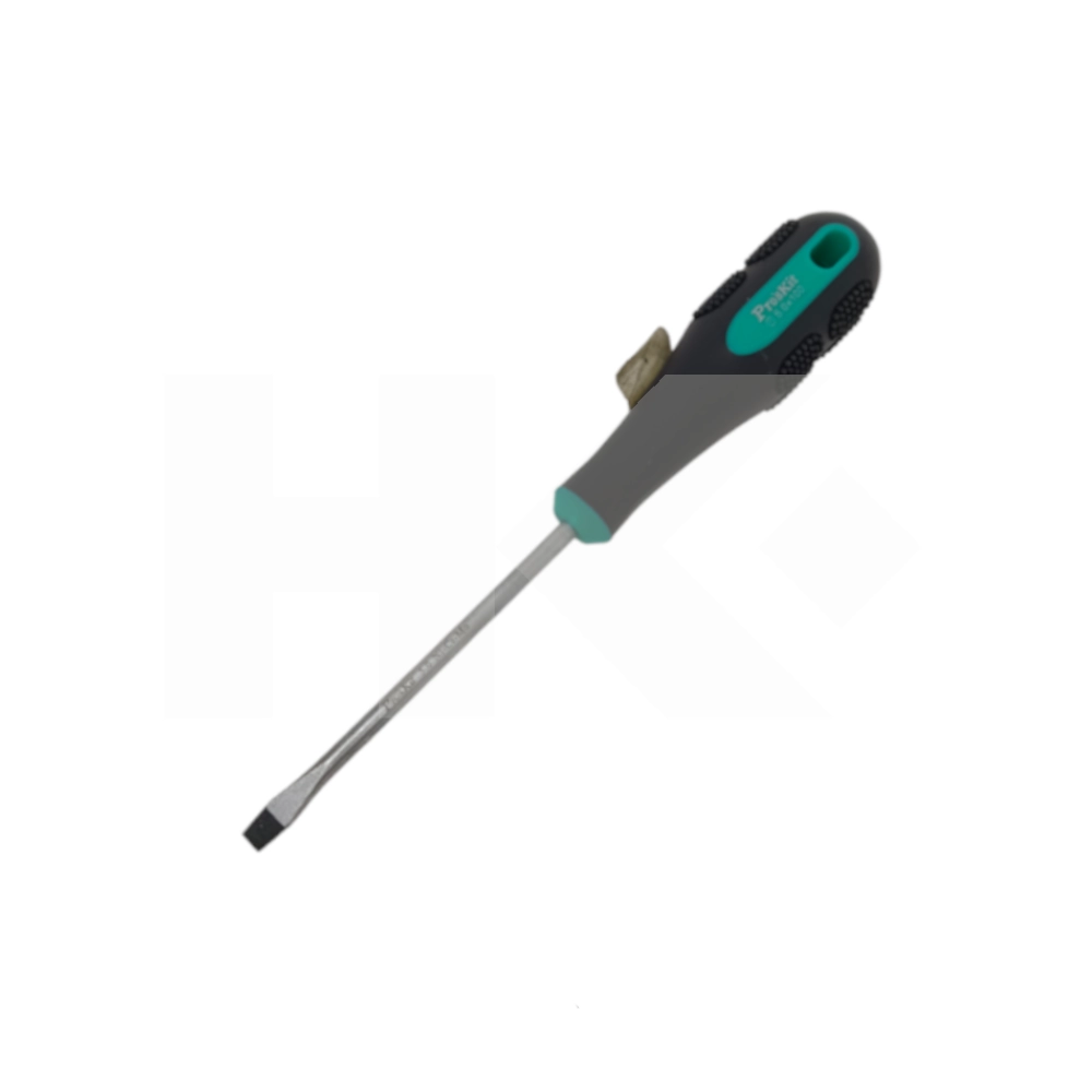 DESTORNILLADOR PALETA PROSKIT 5.0X100MM. NI-CR-MO