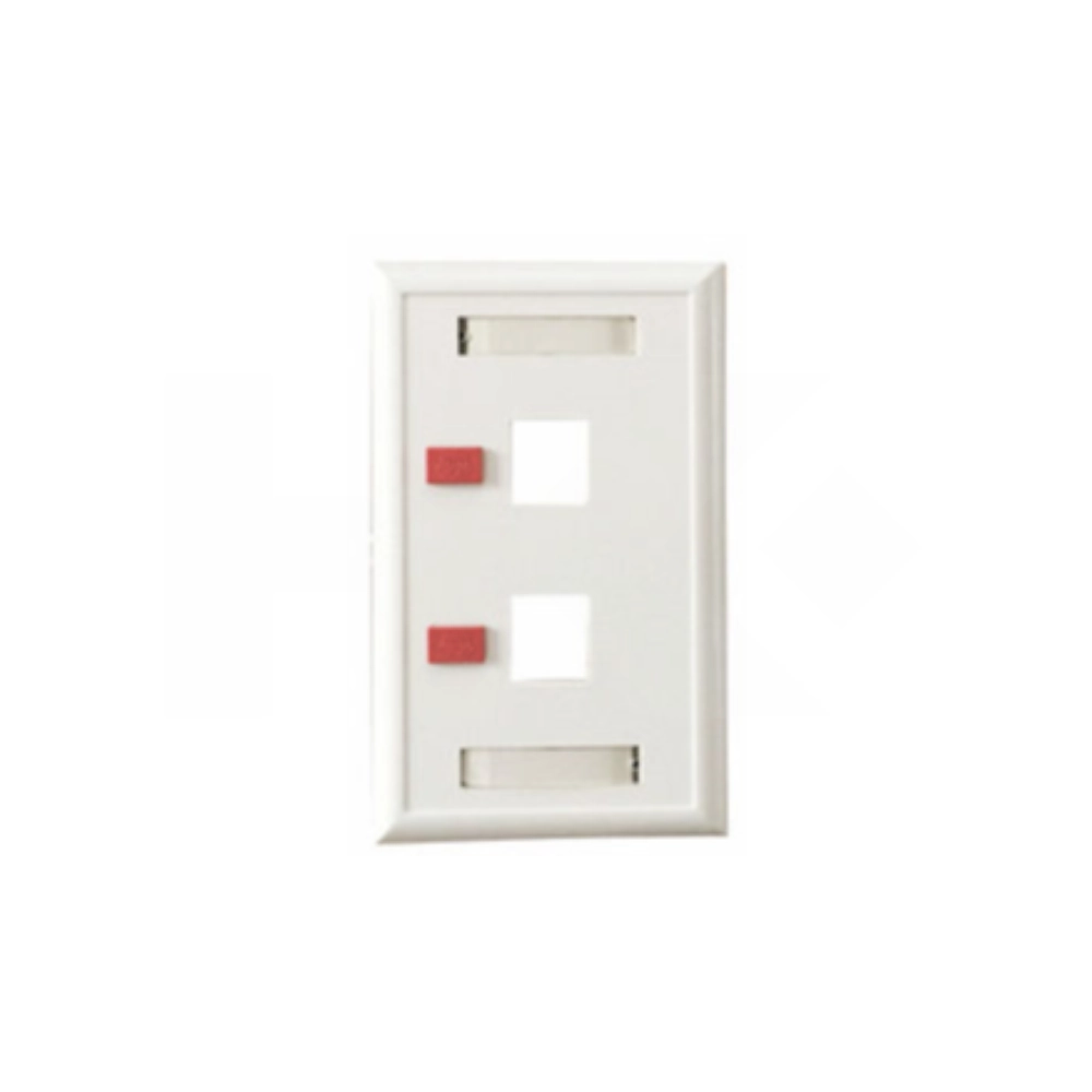 PLACA DE RED (FACEPLATE) RJ45 2 PUESTOS CAT5E BLANCA